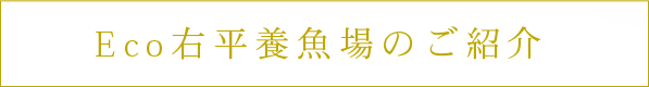 ECO右平養魚場のご紹介